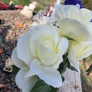 Meet your Posher, Deanna